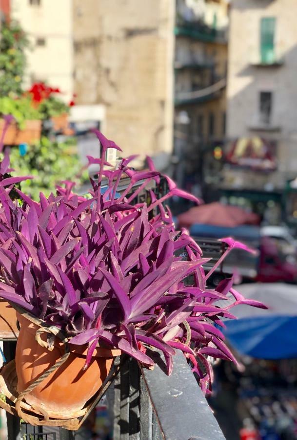 Il Sole Di Montesanto Bed & Breakfast Napoli Exterior foto